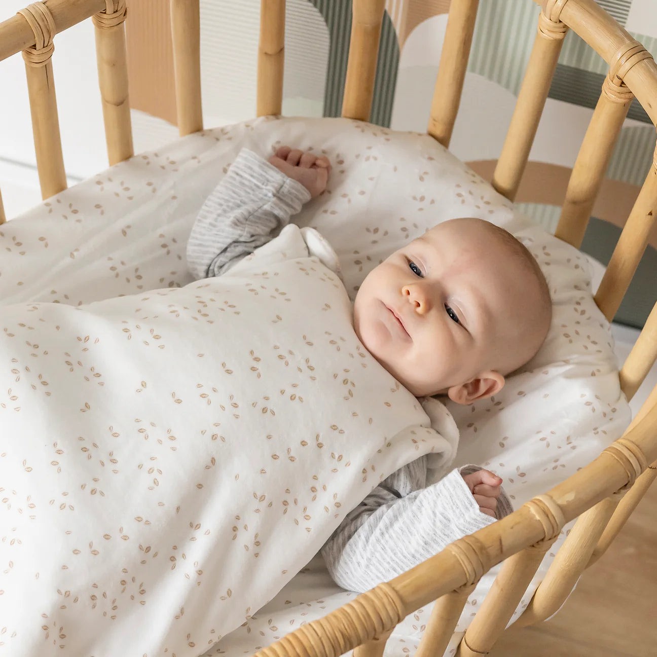 Бебешки спален чувал 0-6 м плюш