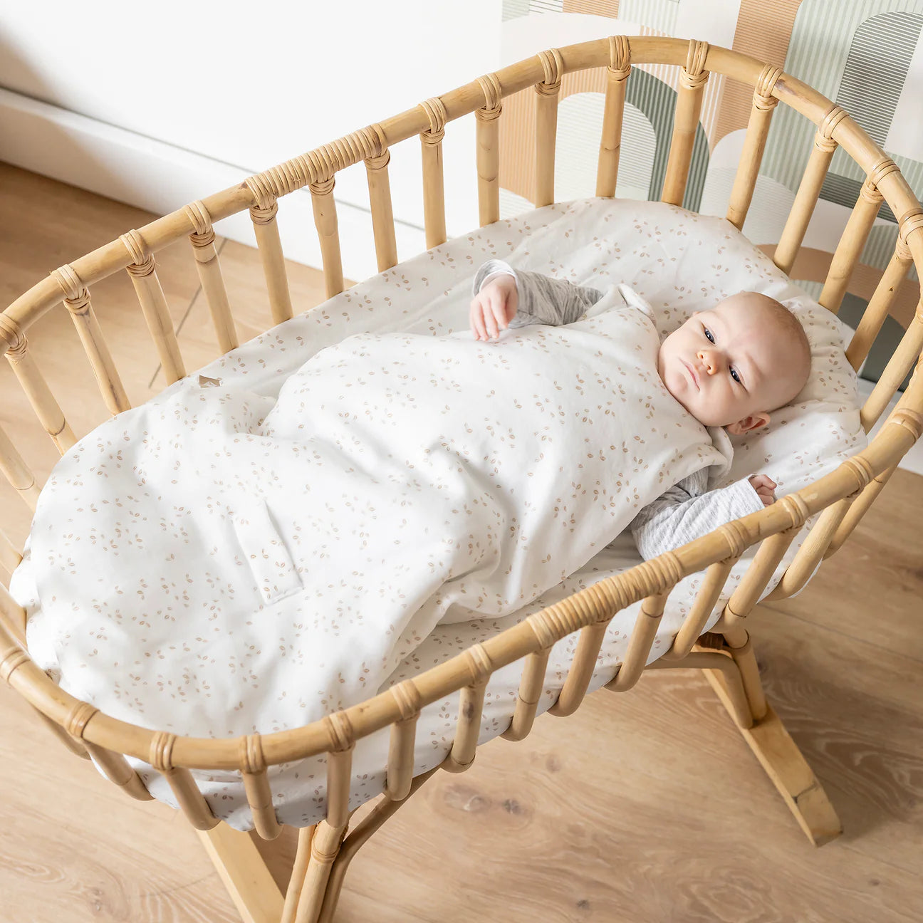 Бебешки спален чувал 0-6 м плюш