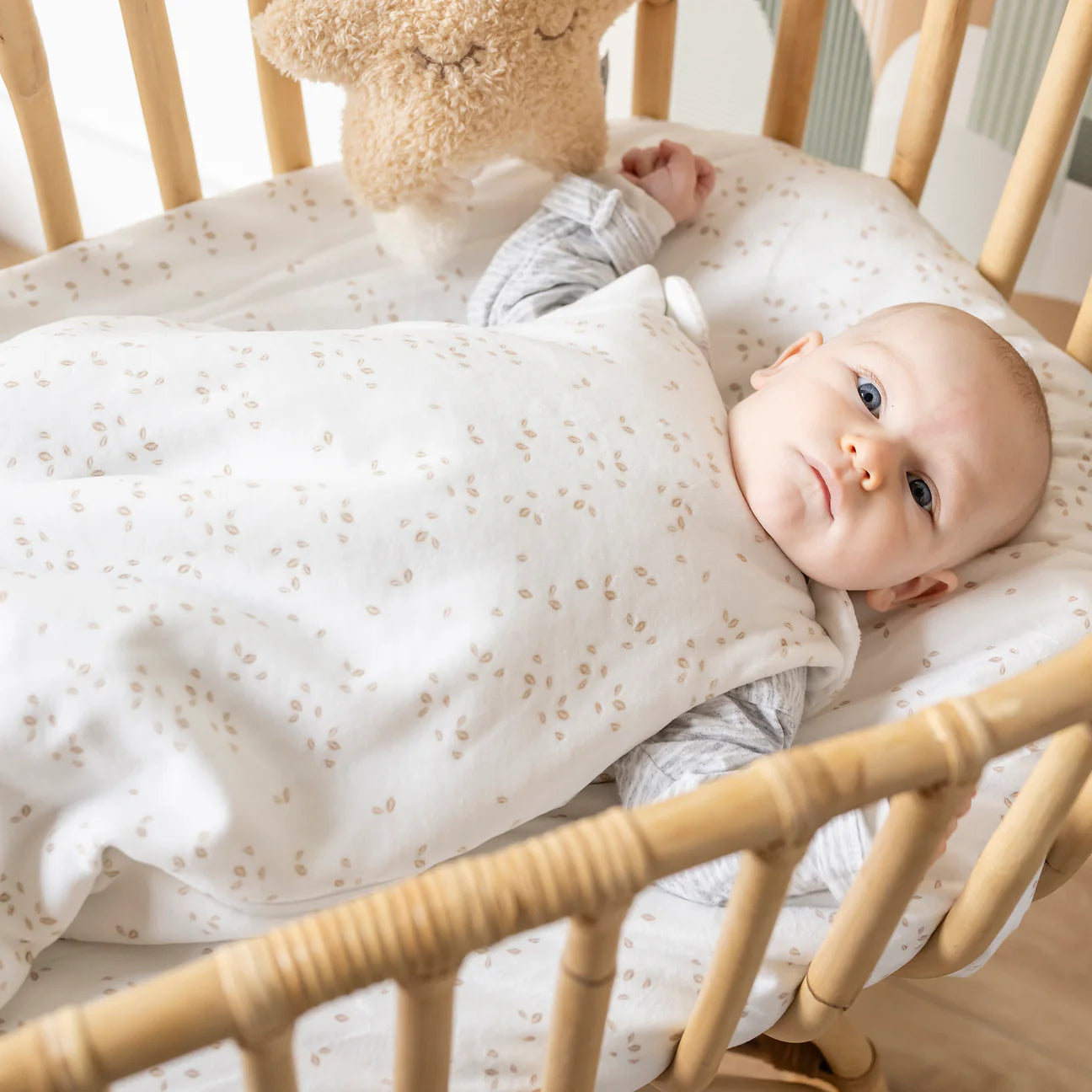 Бебешки спален чувал 0-6 м плюш