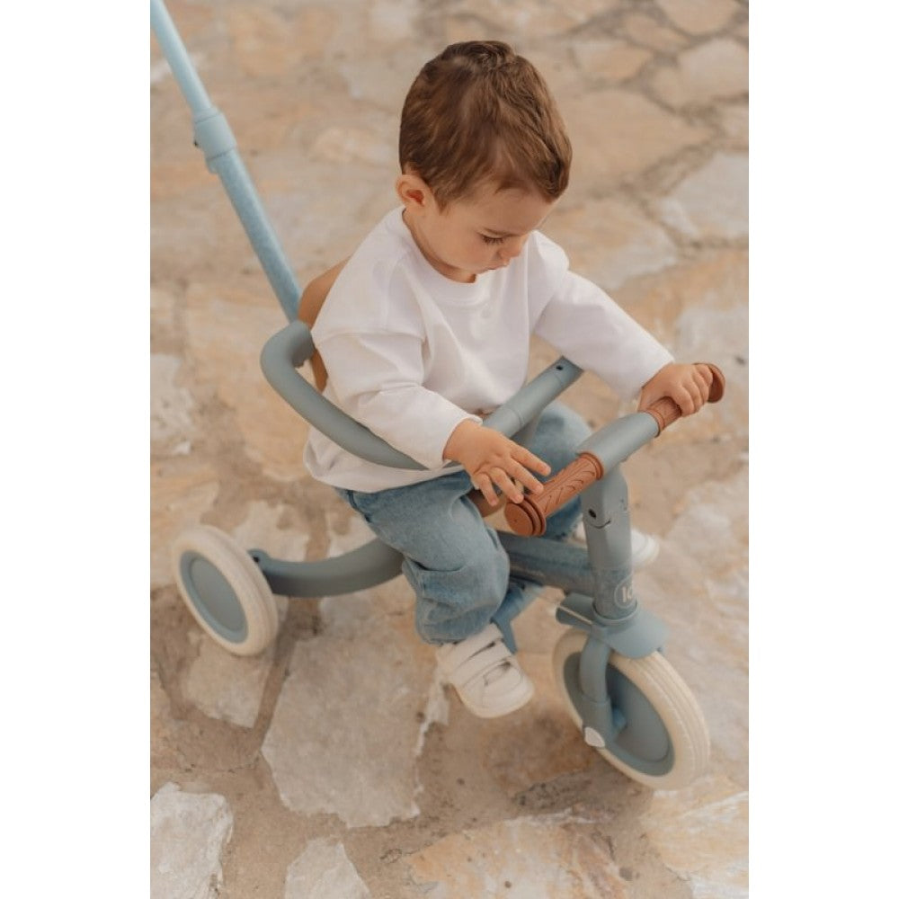 Триколка с дръжка за бутане 4-в-1 Little Dutch Forest Adventure