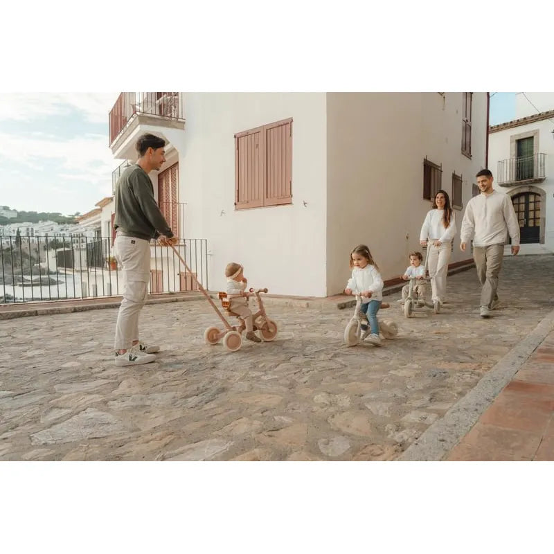 Триколка с дръжка за бутане 4-в-1 Little Dutch Green Leaf